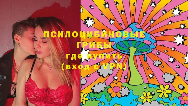 ГАЛЛЮЦИНОГЕННЫЕ ГРИБЫ Беломорск
