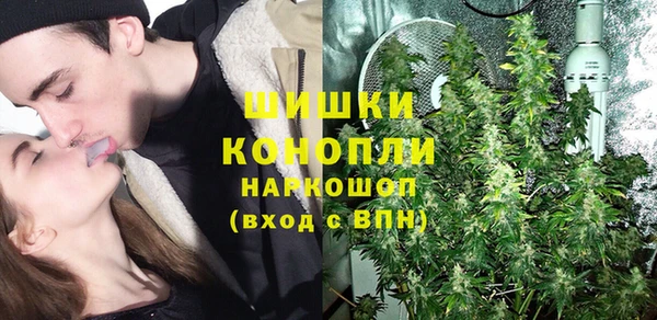 МДПВ Алзамай