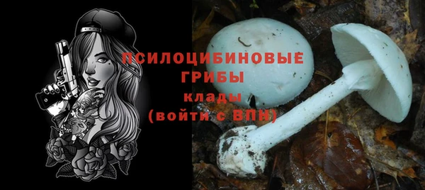 марки nbome Белокуриха